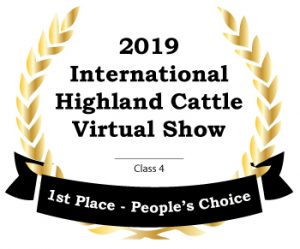 Award badge for 1st place in class 4 at the 2019 International Highland Cattle Virtual Show