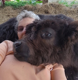 Nancy Geller of Elm Hollow farm snuggling with calf