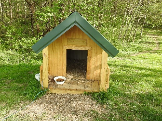 Nice custom dog house