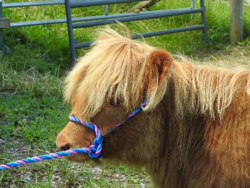 Manda with pretty blond highlights