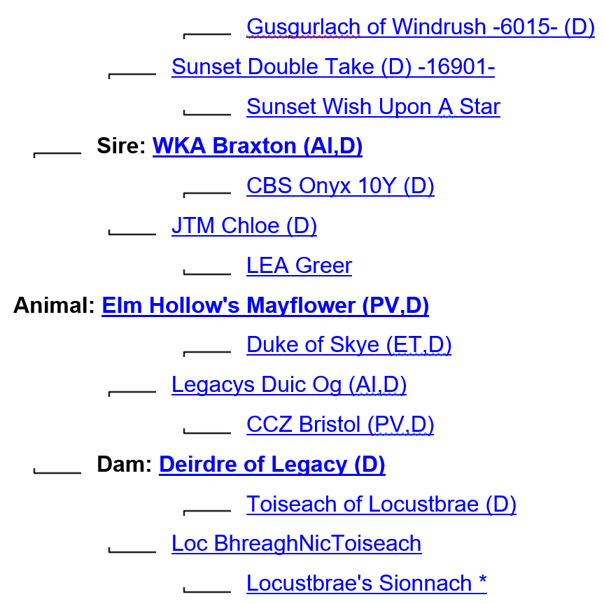 Elm Hollow's Mayflower's ancestry