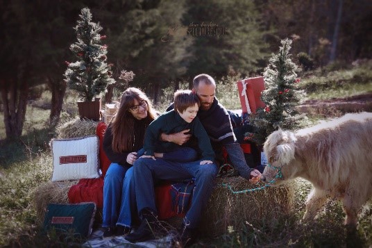 Family celebrating Christmas on farm with Highland bull calf