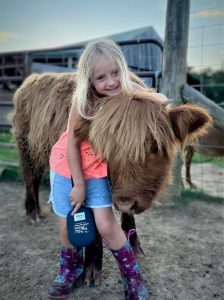 Small Highland calf with a little girl hugging it