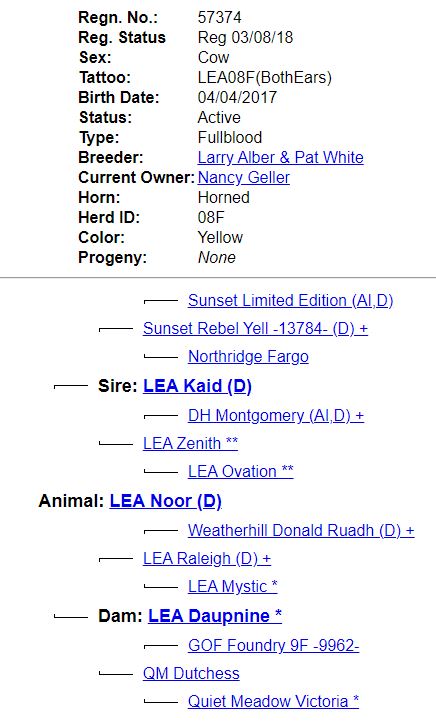 Screenshot of AHCA Herdbook data for LEA Noor