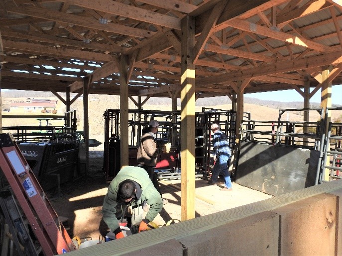 Cattle handling facility being installed at Elm Hollow Farm