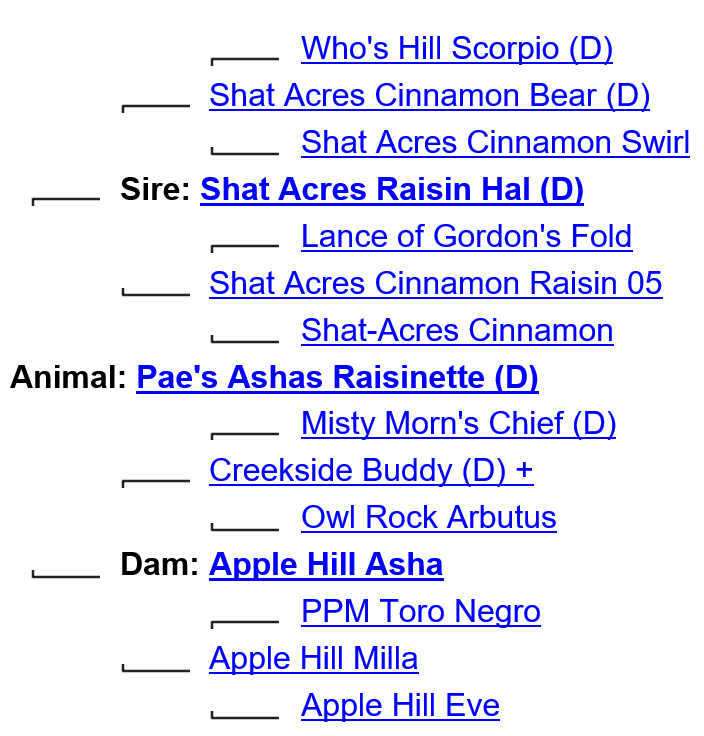 Pae's Ashes Raisinette's ancestry