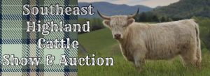 A promotional banner with text Southeast Highland Cattle Show & Auction featuring a white Highland cow in the mountains
