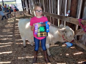 Fun showing Highland calves at youth farm event