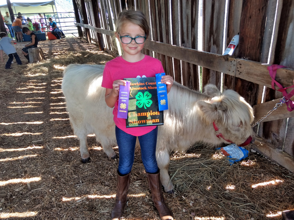 Fun showing Highland calves at youth farm event