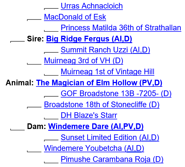 The Magician's heritage