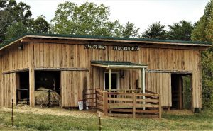New barn for bulls at Elm Hollow Farm