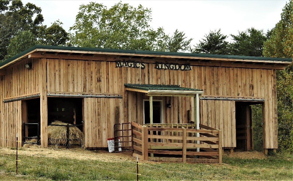 New barn for bulls at Elm Hollow Farm
