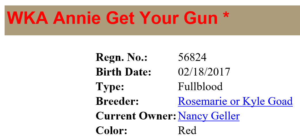 Elm Hollow's Murdock Scottish Highland registry