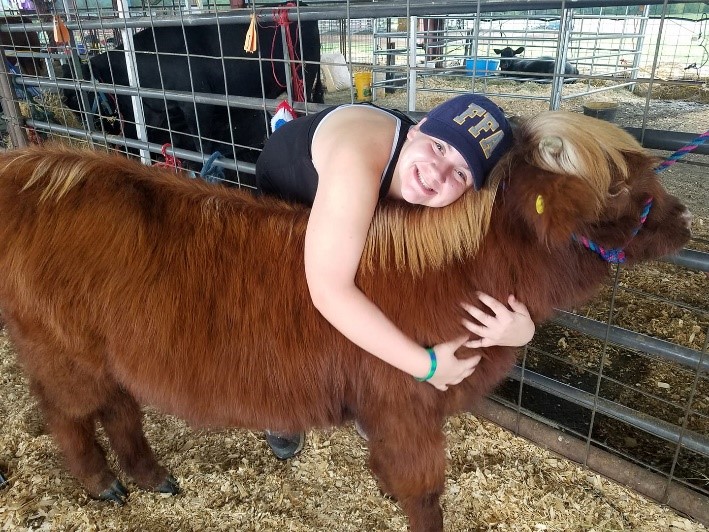 Young lady hugging a haltered Highland calf with distinctive coloring