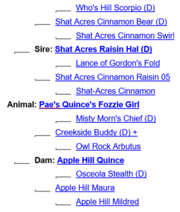 Pae's Quince's Fozzie Girl ancestry